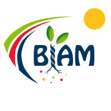 biam